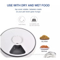 Automatic Pet Feeder for Medium Small Cat Dog